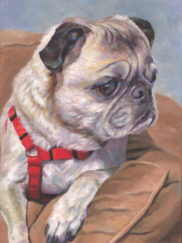 Paintings by Rose Folkes - Pets