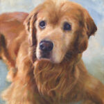 Pet Paintings by Rose Folkes