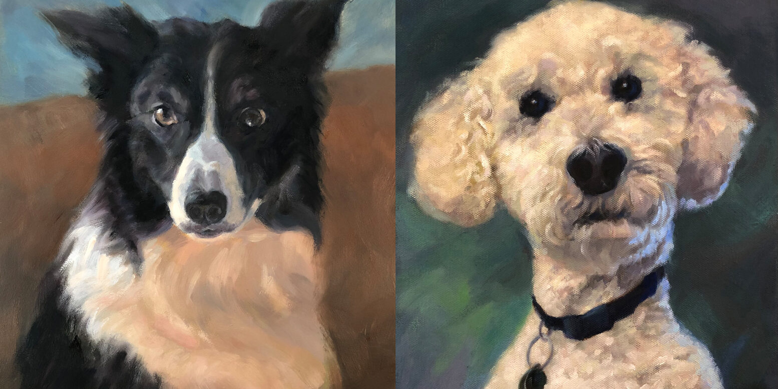 Animals & Pet Portraits by Rose Folkes